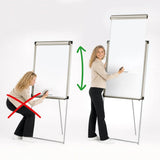 Neuland FlipChart Professional 3000 ERGO